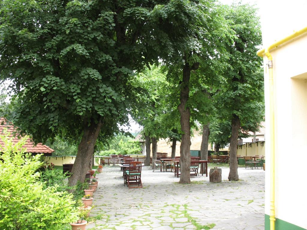 Pensiunea Sub Cetate Cisnădie Exterior foto