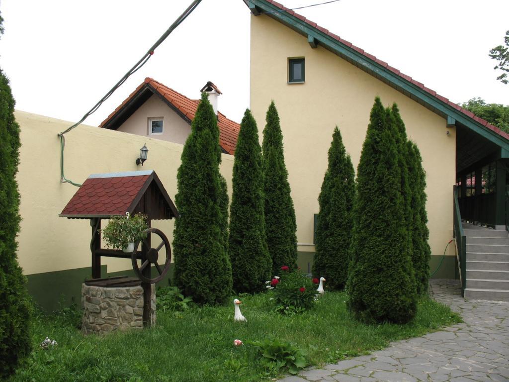 Pensiunea Sub Cetate Cisnădie Exterior foto