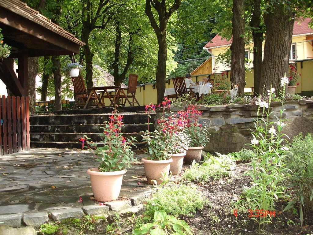 Pensiunea Sub Cetate Cisnădie Exterior foto
