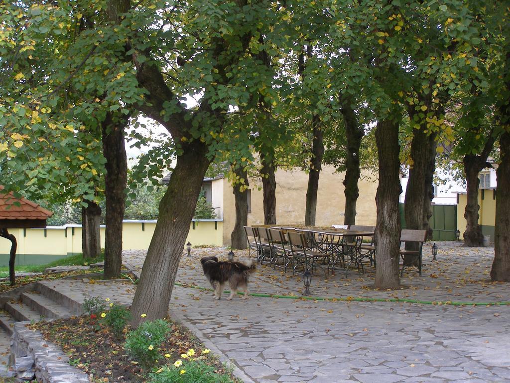 Pensiunea Sub Cetate Cisnădie Exterior foto