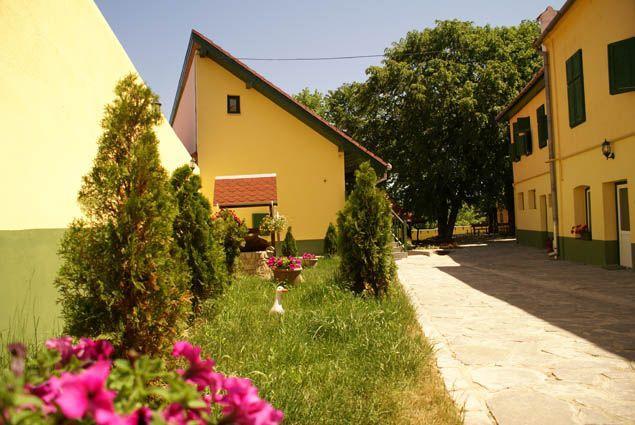 Pensiunea Sub Cetate Cisnădie Exterior foto